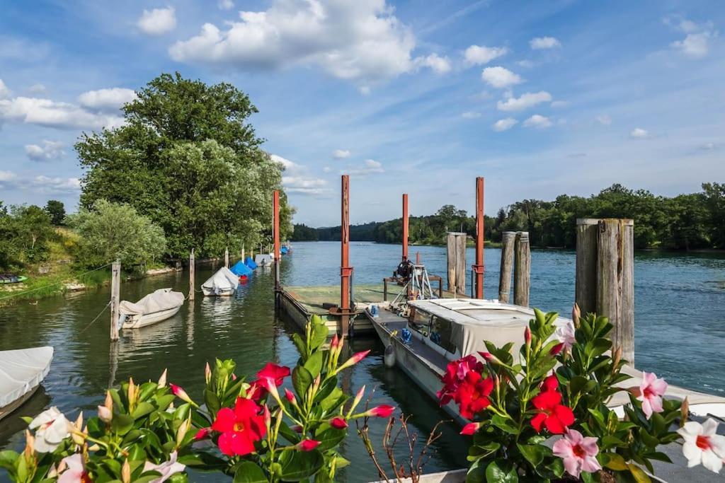 Luxury Apartment On The Rhein Busingen am Hochrhein Exterior foto